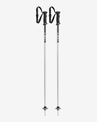 ski stokken